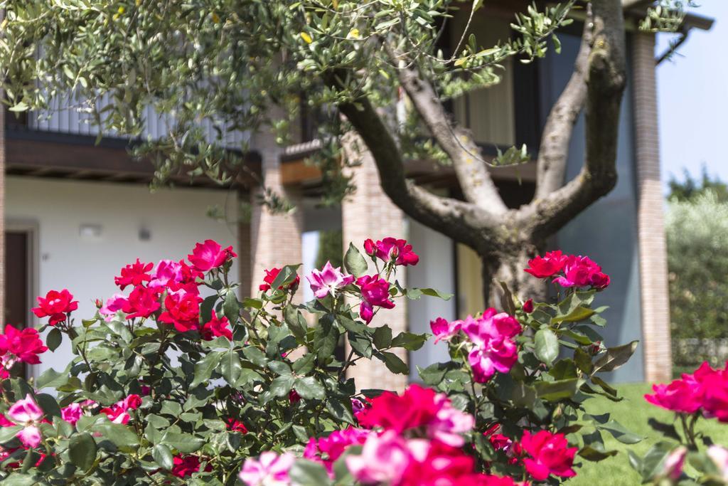 Hotel Relais Agli Olivi Lazise Bagian luar foto